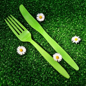 picnic, cutlery, plastic-2402635.jpg